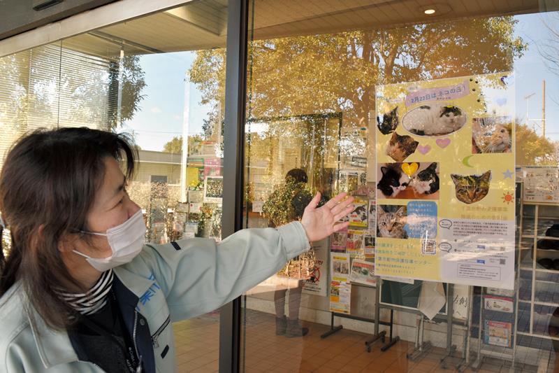 千葉市動物保護指導センターは「猫の日」に合わせ、収容猫の譲渡推進のためのポスターを作成した