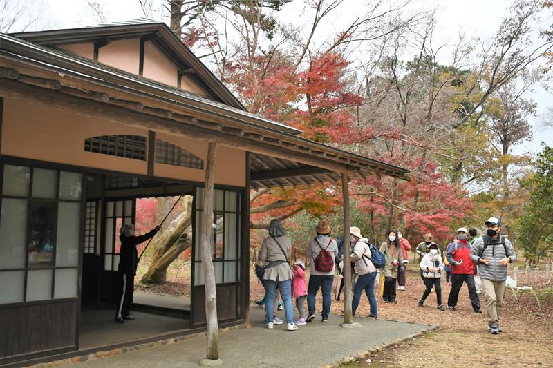 木々が紅葉する岩崎別邸の敷地内を歩く参加者