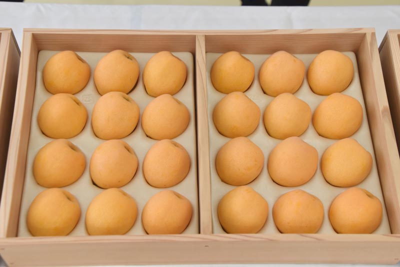 天皇陛下への献上品に選ばれた岩井枇杷組合のビワ