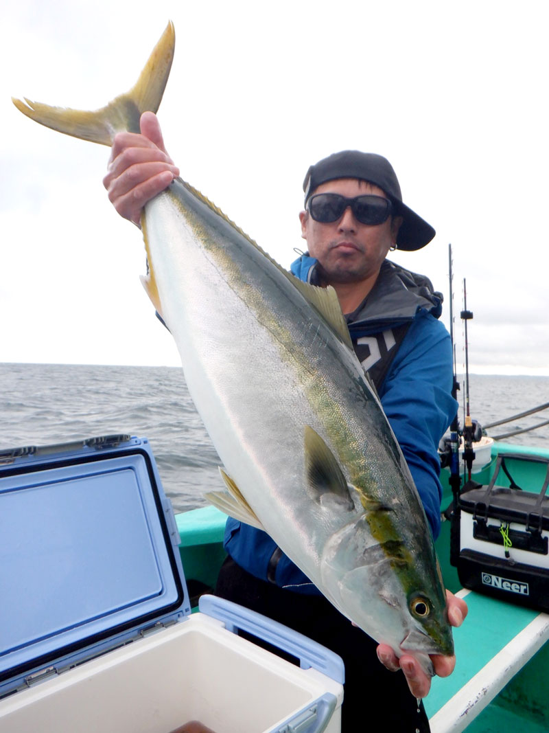 保田沖で釣り上げたワラサ(写真は「村井丸」提供)