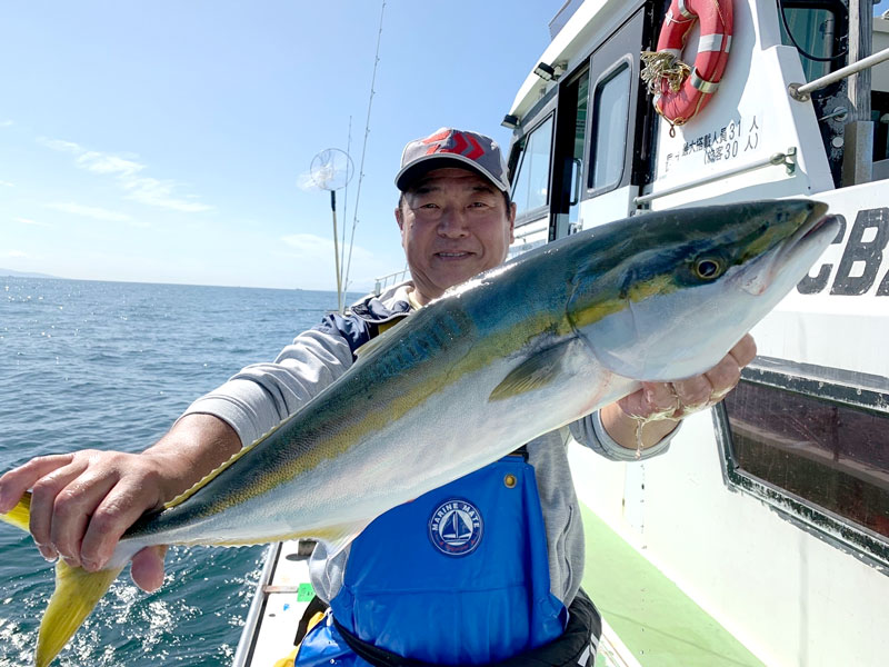 勝山沖から保田沖で釣り上げたワラサ(写真は「萬栄丸」提供)