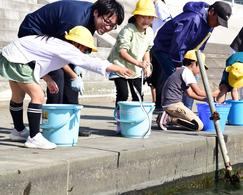 南白亀川にウナギを放流する子どもたち＝２４日、白子町