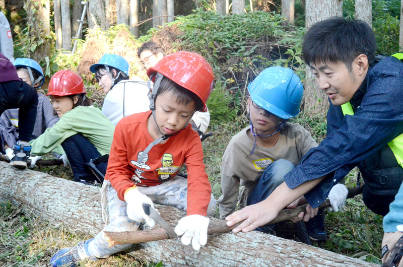 サンブスギの枝をのこぎりで切る児童＝山武市