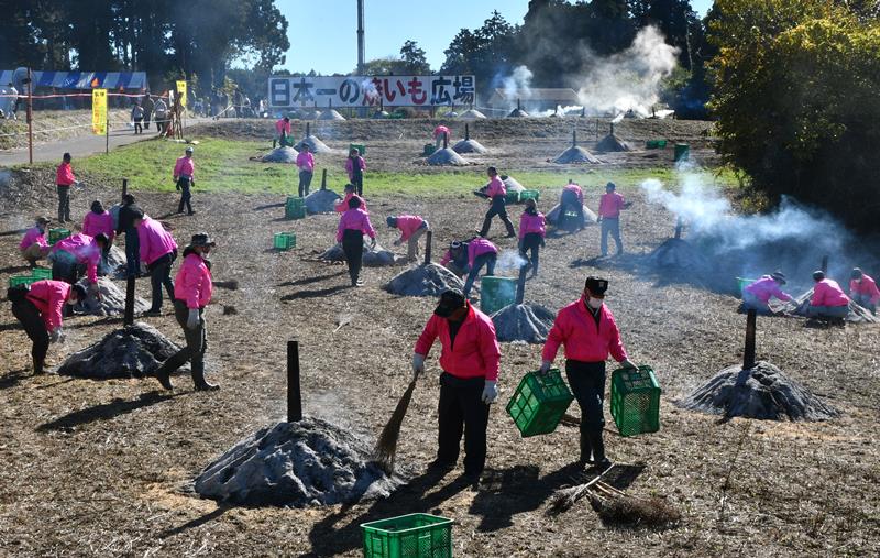 4年ぶりに開催された「栗源のふるさといも祭」。焼き芋の会場で準備するスタッフら=11月19日、香取市