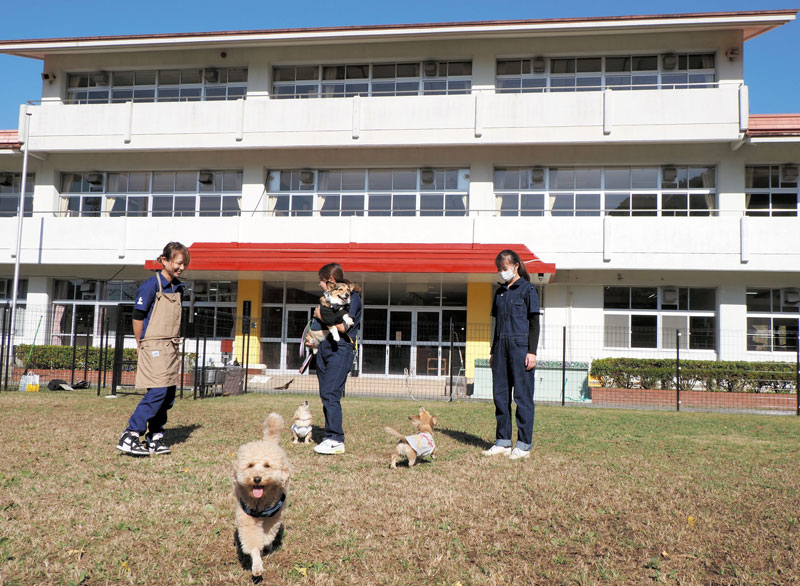 閉校から15年、旧環南小跡地に整備されたドッグラン施設。愛犬とくつろぐカフェもある=富津市