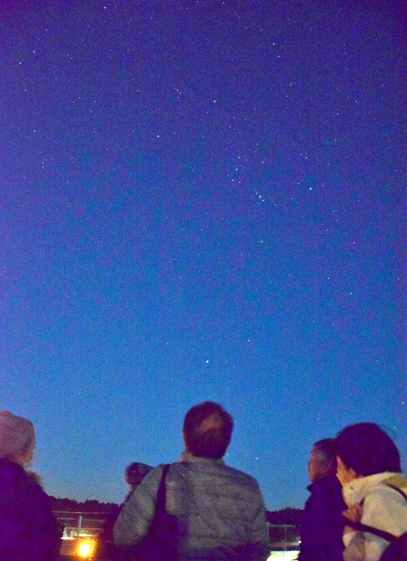 夜空に浮かぶオリオン座などを見上げる参加者=睦沢町立中央公民館