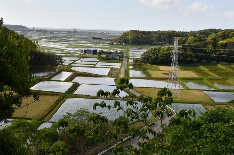 公園から見渡せる田園風景
