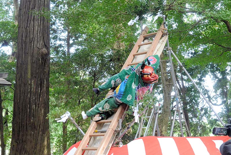 息の合った演技を見せる獅子＝２５日、横芝光町
