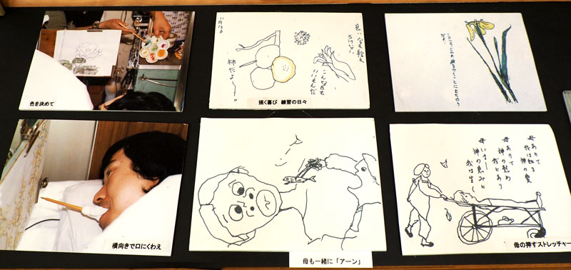 在りし日の星野さんをしのび展示された写真や絵