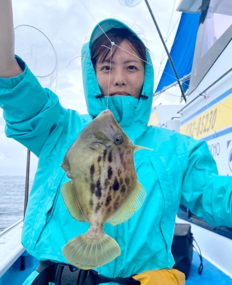 勝山沖で釣り上げたカワハギ(写真は「萬栄丸」提供)