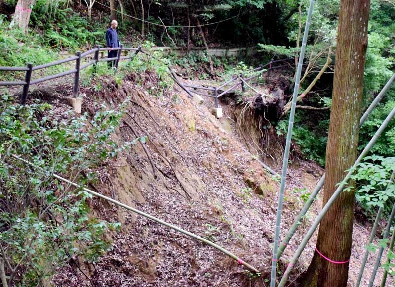 昨年９月の大雨で崖崩れが起き、今も爪痕が残る妙楽寺の森＝今月４日、睦沢町