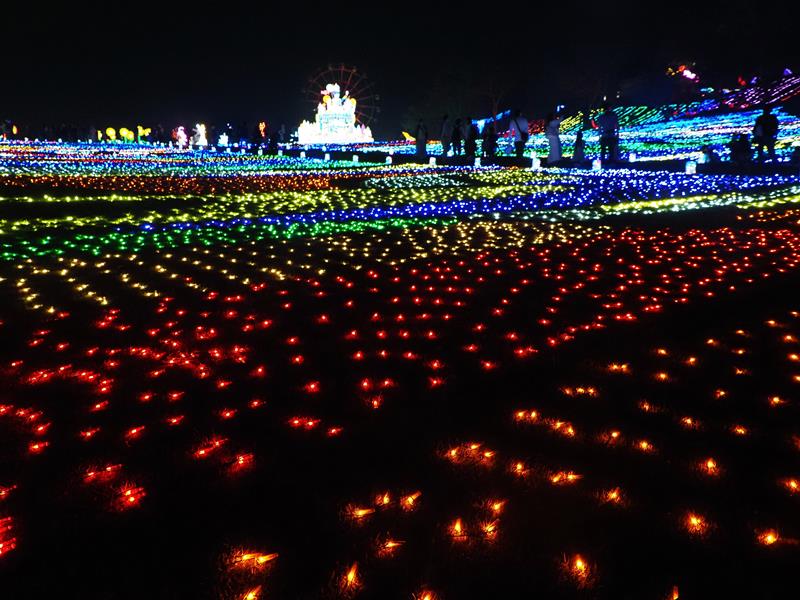 カラフルに輝く東京ドイツ村のイルミネーション=1日夜、袖ケ浦市