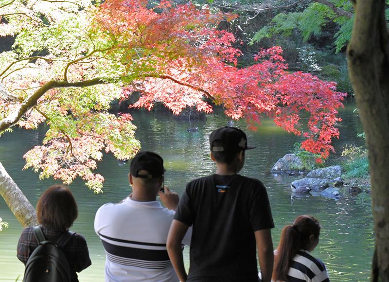 紅葉が見頃を迎え、多くの人でにぎわう成田山公園=17日、成田市