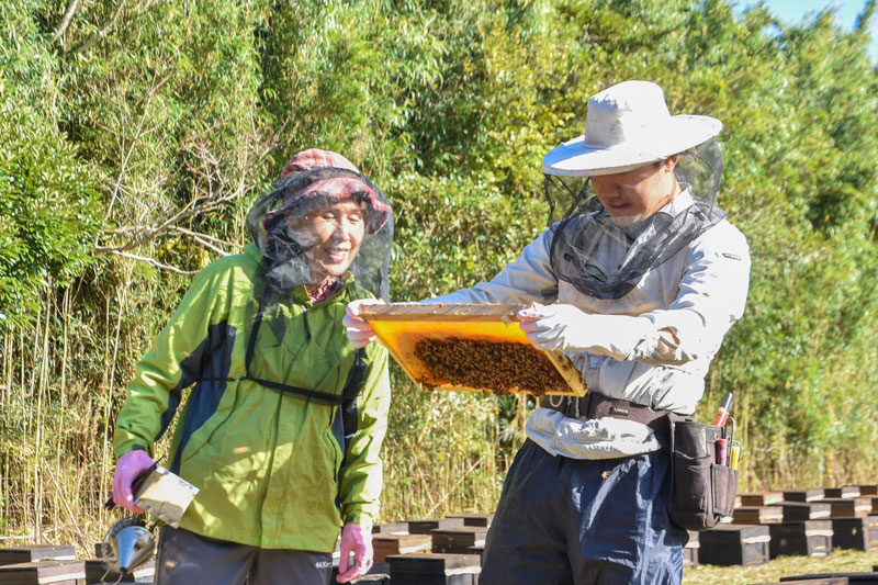 巣板を確認する尾形社長（左）と赤坂さん（館山市提供）