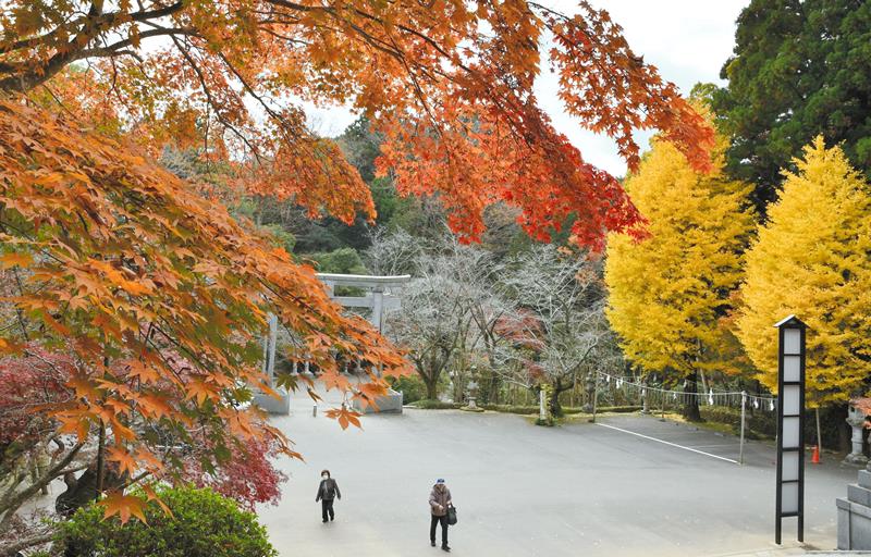 紅葉で彩られた香取神宮＝５日、香取市