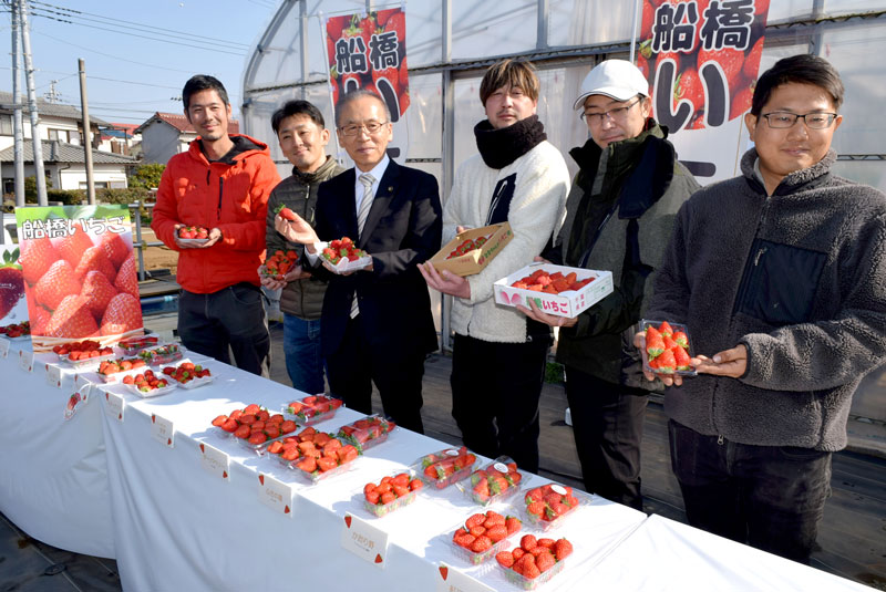船橋産のイチゴをＰＲする松戸市長（左から３人目）と若手生産者＝２４日、船橋市