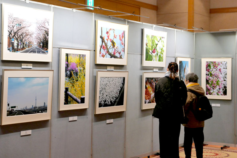 厳選77点が展示されている「自然との対話」池田大作写真展=7日、佐倉市