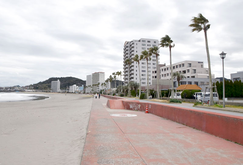 「海辺のグランドデザイン」の対象地域となっている前原・横渚海岸。にぎわい創出や課題解決へ検討が進められている=6日、鴨川市