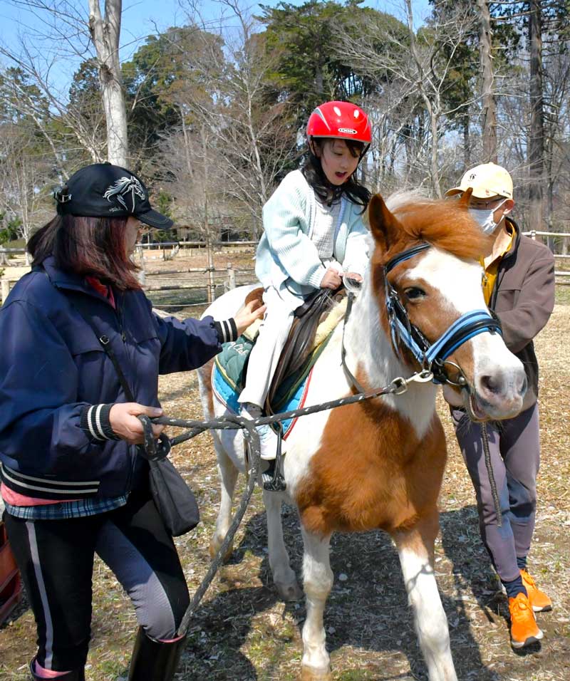 体の大きなポニーにまたがり乗馬を楽しむ子ども=富里市