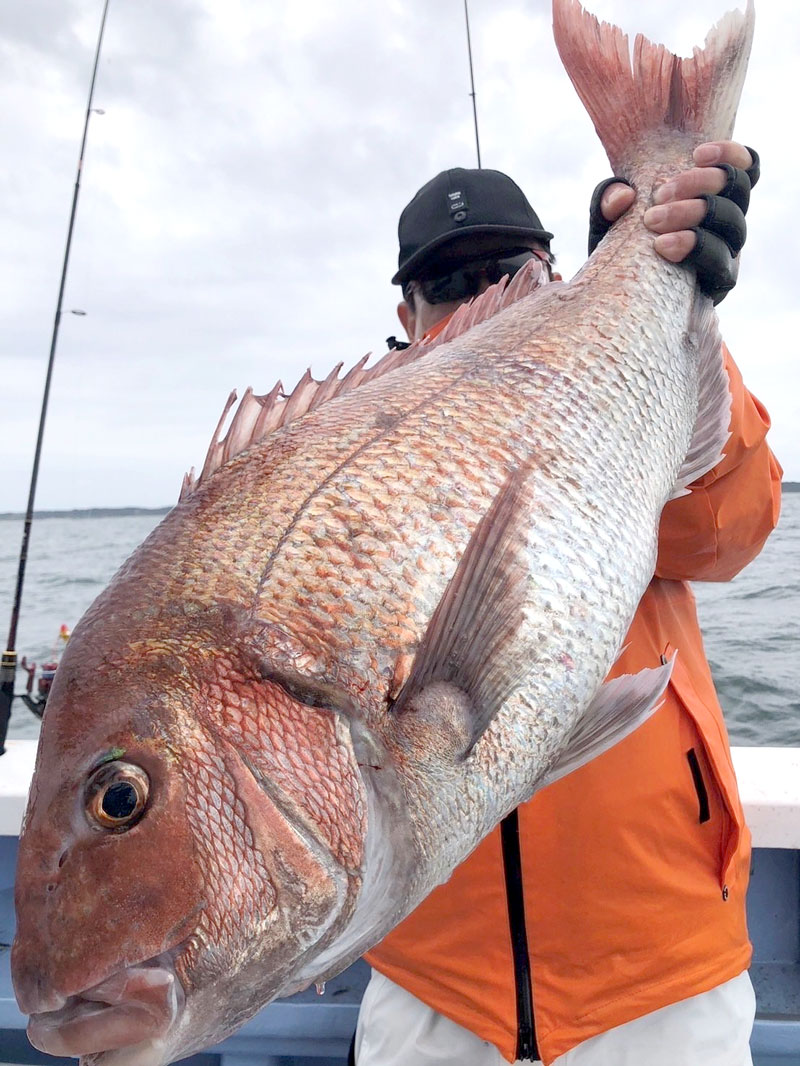 鹿島沖で釣り上げたマダイ（写真は「幸栄丸」提供）