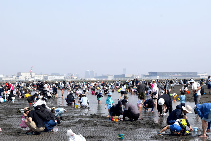 多くの潮干狩り客でにぎわう「ふなばし三番瀬海浜公園」＝１９日、船橋市