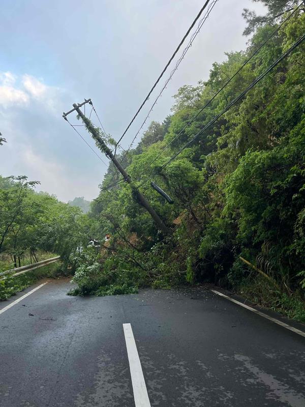 君津市内の国道４６５号でのり面が崩落した現場（千葉県提供）