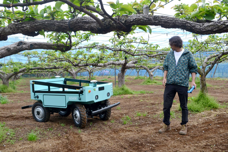 人間に自動で追従する農業用ＡＩロボット「Ａｄａｍ」＝市川市の勘兵衛園