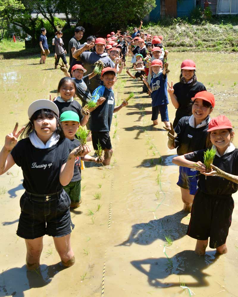 田植えを体験し満足げの大多喜小５年生ら＝大多喜町