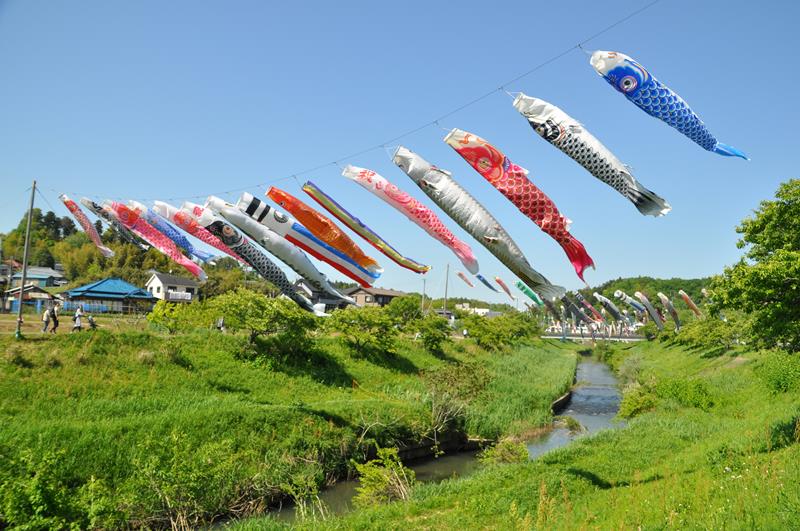 青空を悠然と泳ぐこいのぼり＝市原市瀬又の村田川