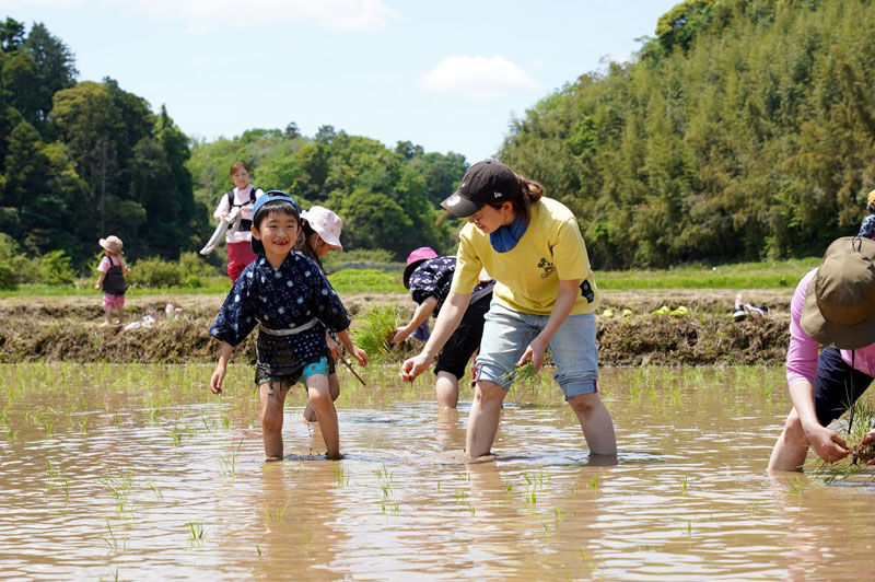 国指定史跡となっている水田で田植えを楽しむ参加者＝３日、旭市