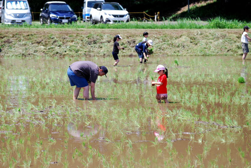 子どもたちも挑戦