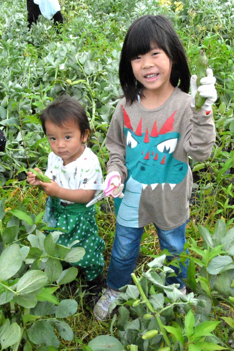 ソラマメを収穫し笑顔を見せる子どもら＝１８日、いすみ市