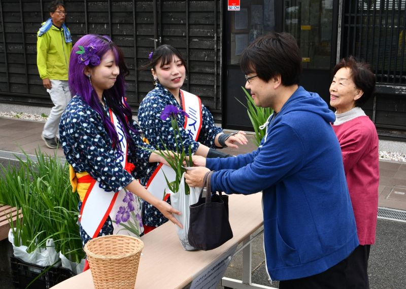 来園者にハナショウブの苗をプレゼントするミスあやめ(左)