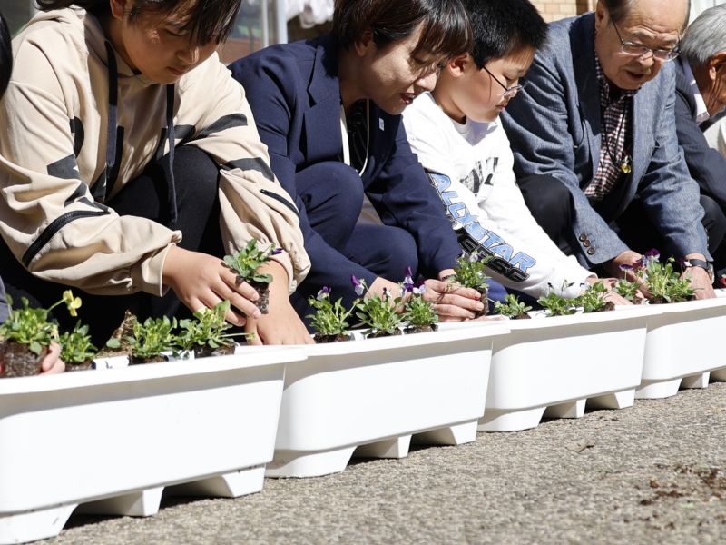 寄贈された花の苗をプランターに植える児童ら=2023年11月、多古町立多古第一小学校(多古町提供)